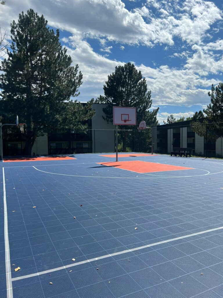 basketball court with three nets